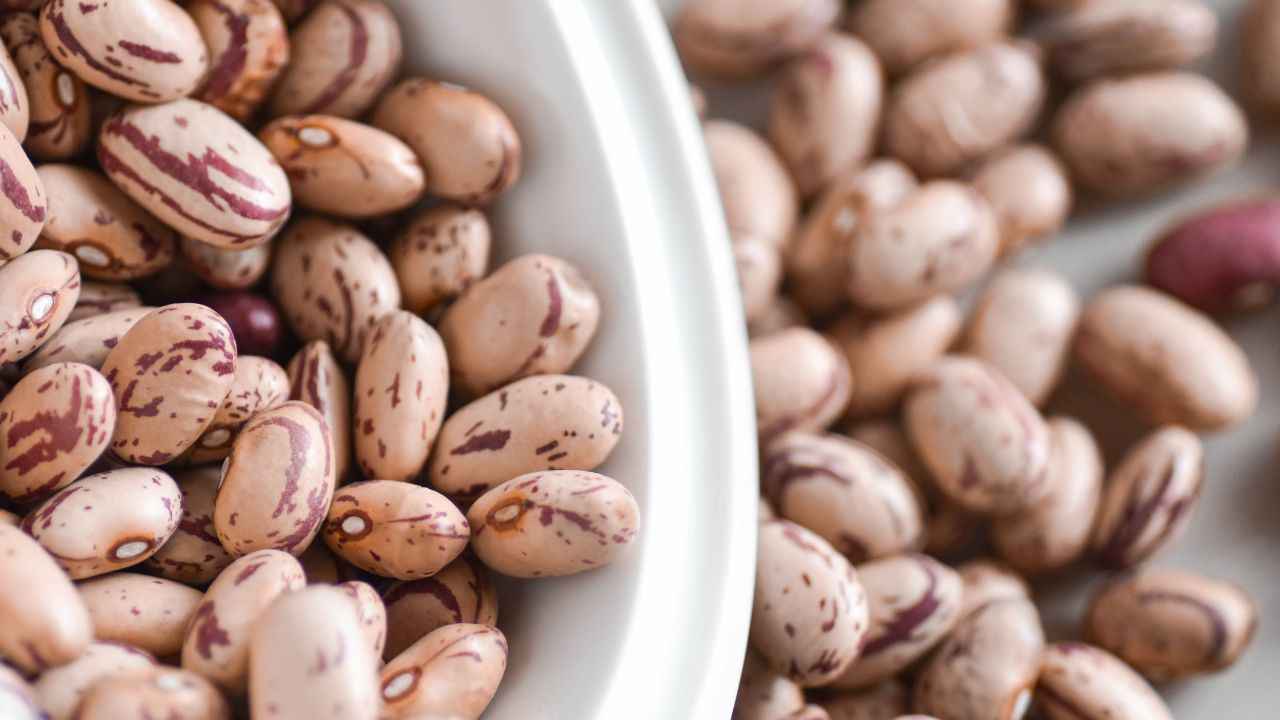 Fagioli Borlotti Una Mini Guida Su Come Seminarli E Farli Crescere