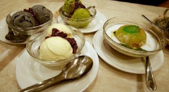 Gelato in casa senza uova: idee vegan