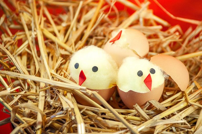 Lavoretti Di Natale Belli.Lavoretti Per Pasqua Facili E Veloci Idee Fantasiose E Creative Per I Bambini Ecoo It