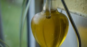 Olio extravergine d'oliva e qualità: addio alle oliere