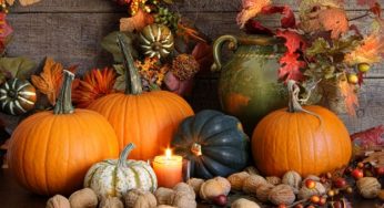 Come riciclare la zucca dopo Halloween: 5 consigli