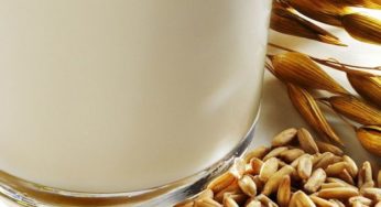 Come fare il latte di avena in casa: la ricetta