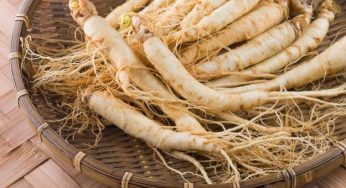 Ginseng: proprietà e benefici