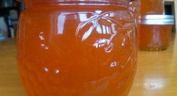 Marmellata di cachi: la ricetta