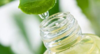 Succo di aloe vera fatto in casa: proprietà e utilizzo