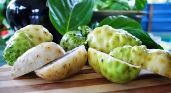 Succo di Noni: cos’è e a cosa serve