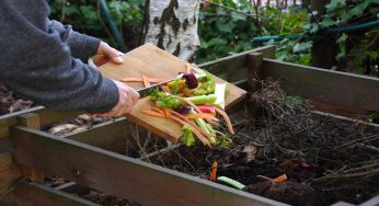 Compostaggio domestico: come farlo in un recipiente