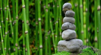 Giardino: come creare una zona mindfulness in modo facile