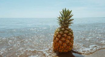 “L’ananas brucia i grassi”. È vero?