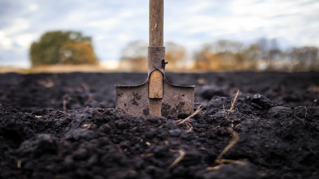 Come misurare il pH del terreno e come modificarlo - Pianeta di