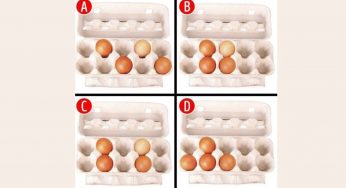 Come disporresti le uova? Scopri cosa dice di te | Test