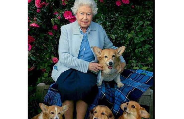 La regina Elisabetta ed i suoi Corgi