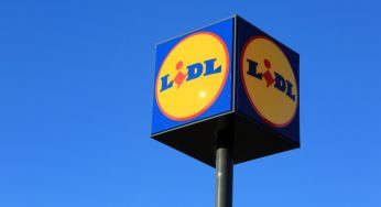 Lidl vende faretti a energia solare: costano pochissimo