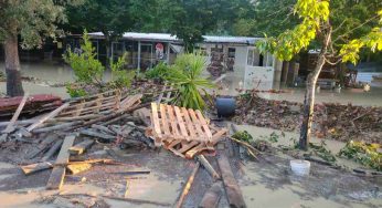 Alluvione Marche, strage anche di animali: il bilancio