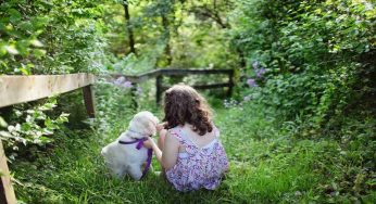 Giardino: progettarlo dall’inizio, come si fa