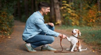 Se il cane fa questo ti ama per davvero