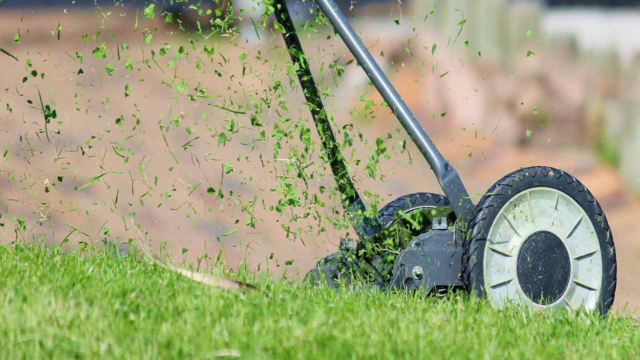 Giardino Come Scegliere Il Tagliaerba Adatto Alle Esigenze