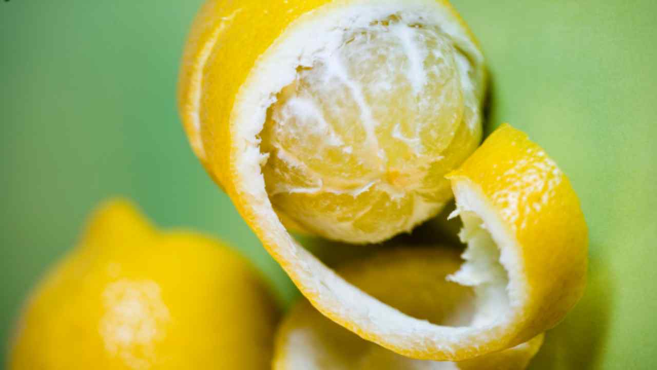 Succo di limone: come utilizzarlo per il benessere delle tue piante