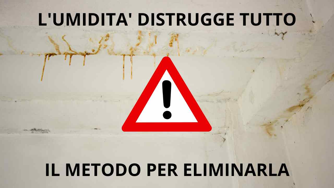 Umidità in casa nuova! Se vi avessi conosciuto prima! - WallSafe