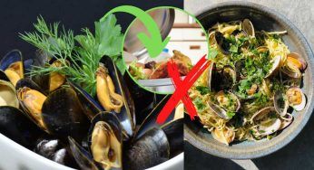 Cozze e vongole, gettale nel bidone giusto: rischi una multa altissima