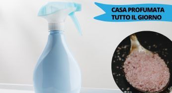 Casa profumata come quella di un miliardario: poche mosse e sarà possibile