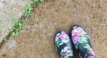 Addio erbacce in giardino, con questo spray naturale: è anche economico