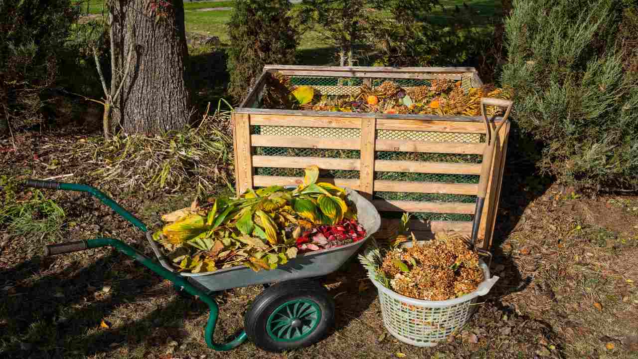 Non sprecare nulla, così potrai preparare fai da te il compost