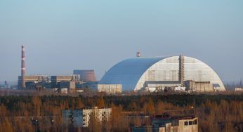 Chernobyl, studio approfondito sui cani: come sono sopravvissuti