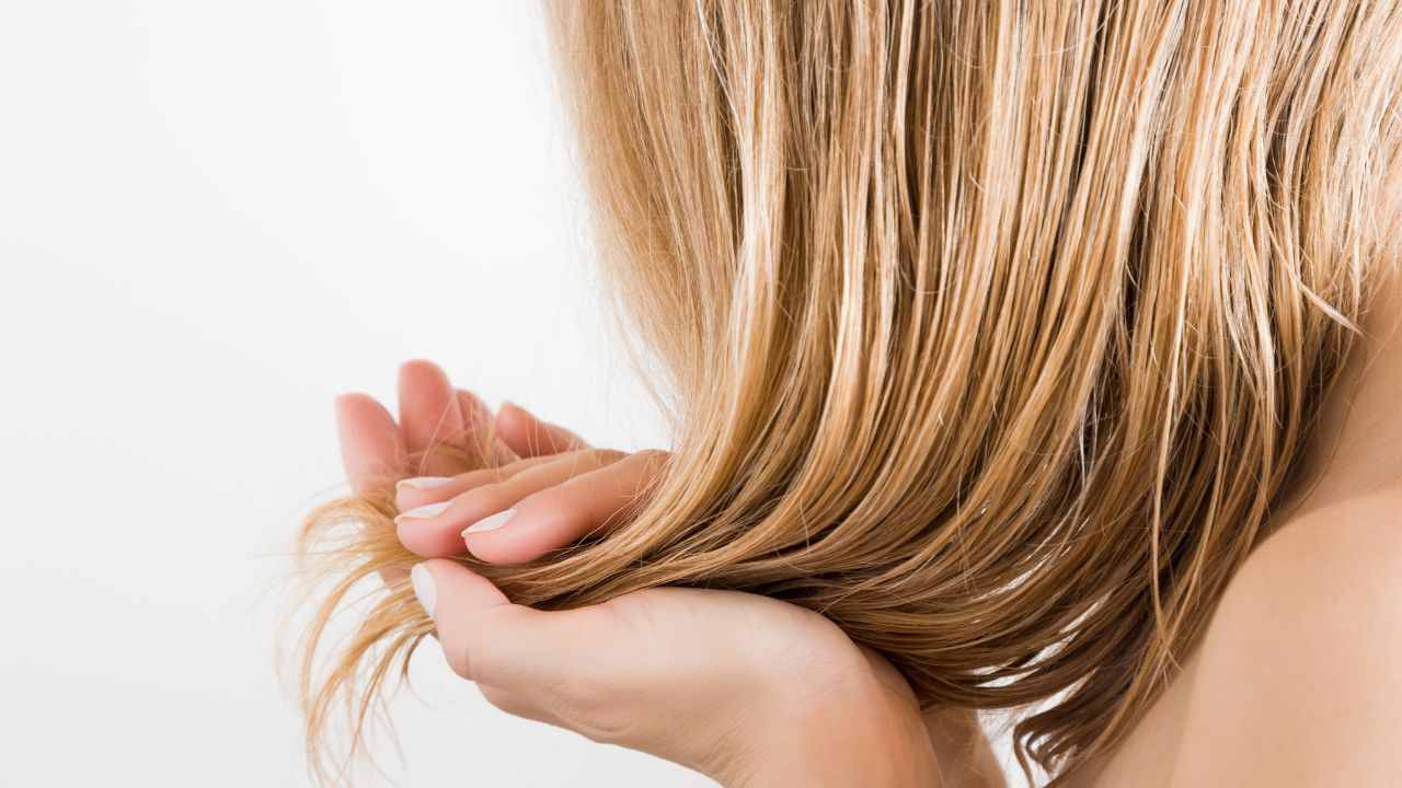 Doppie punte e capelli danneggiati: cause e rimedi naturali che funzionano  davvero - greenMe