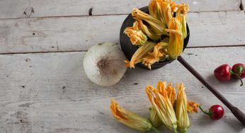 Fiori di zucca: molti benefici, ma occhio a questa controindicazione. Non mangiarla in questo caso