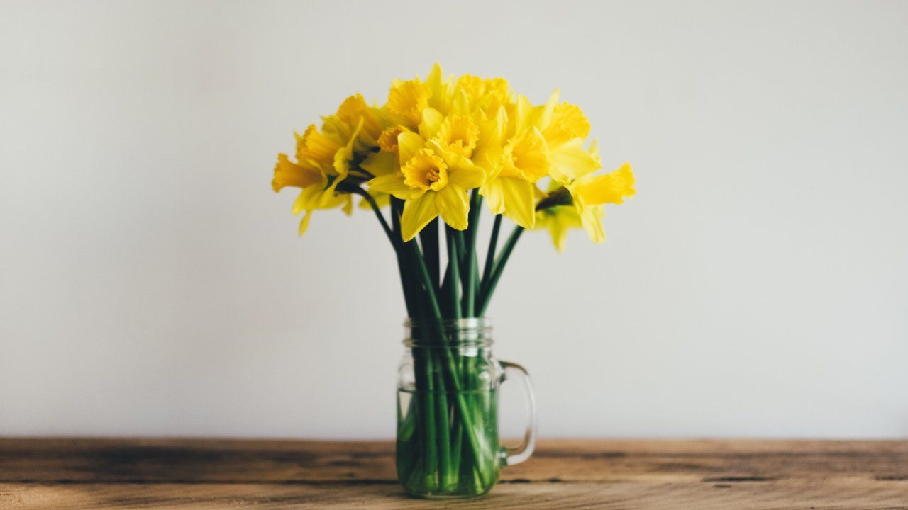 Fiori freschi recisi, la guida per conservarli più a lungo