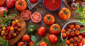 Pomodoro: verdura o un frutto? La risposta che in molti cercano