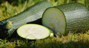 Occhio alle zucchine: possono diventare velenose, non mangiarle!