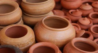 Vasi in terracotta: perchè sceglierli