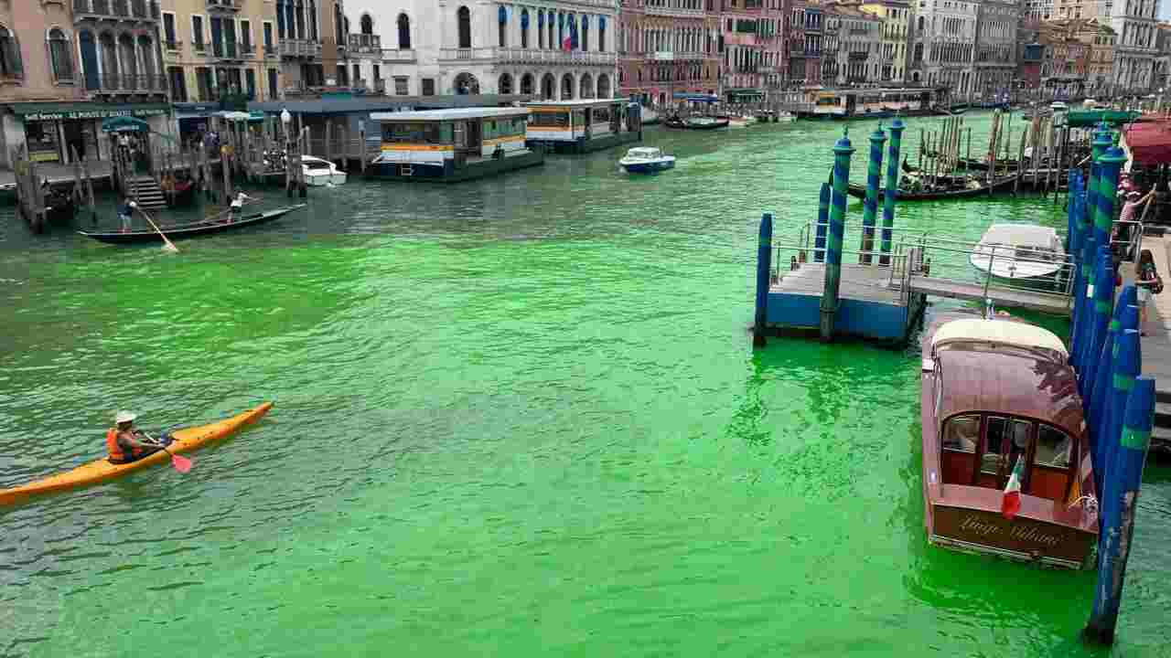 Venezia L Acqua Del Canal Grande Verde Fosforescente Cosa Sta Succedendo