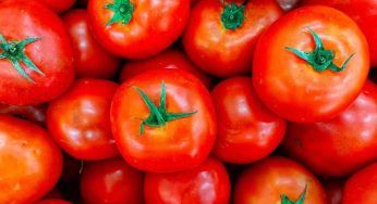 Pomodori, questo ancora non lo sai: il trucco del contadino per renderli più buoni