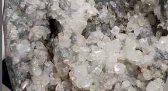 Zeolite, usala sulle piante: addio a funghi ed insetti