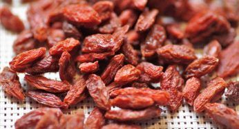 Bacche di Goji: prima di mangiarle è bene informarsi