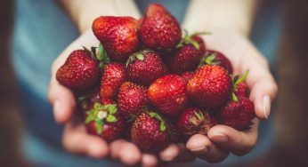 Fragole, al loro interno si possono nascondere questi insetti: cosa fare prima di mangiarle