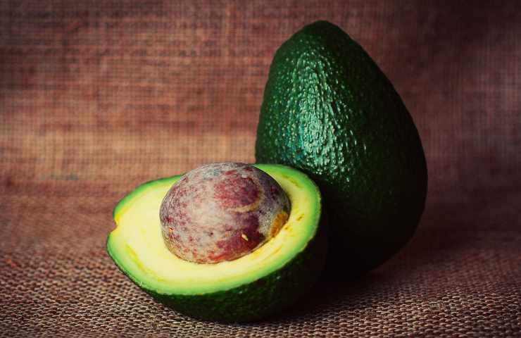 Avocado fertilità