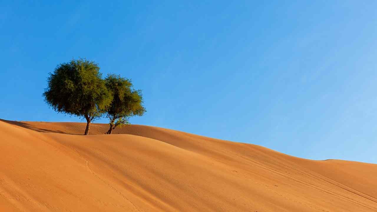 Dove si trovano deserti Italia