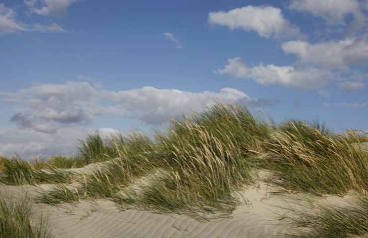 Deserti Italia come raggiungere