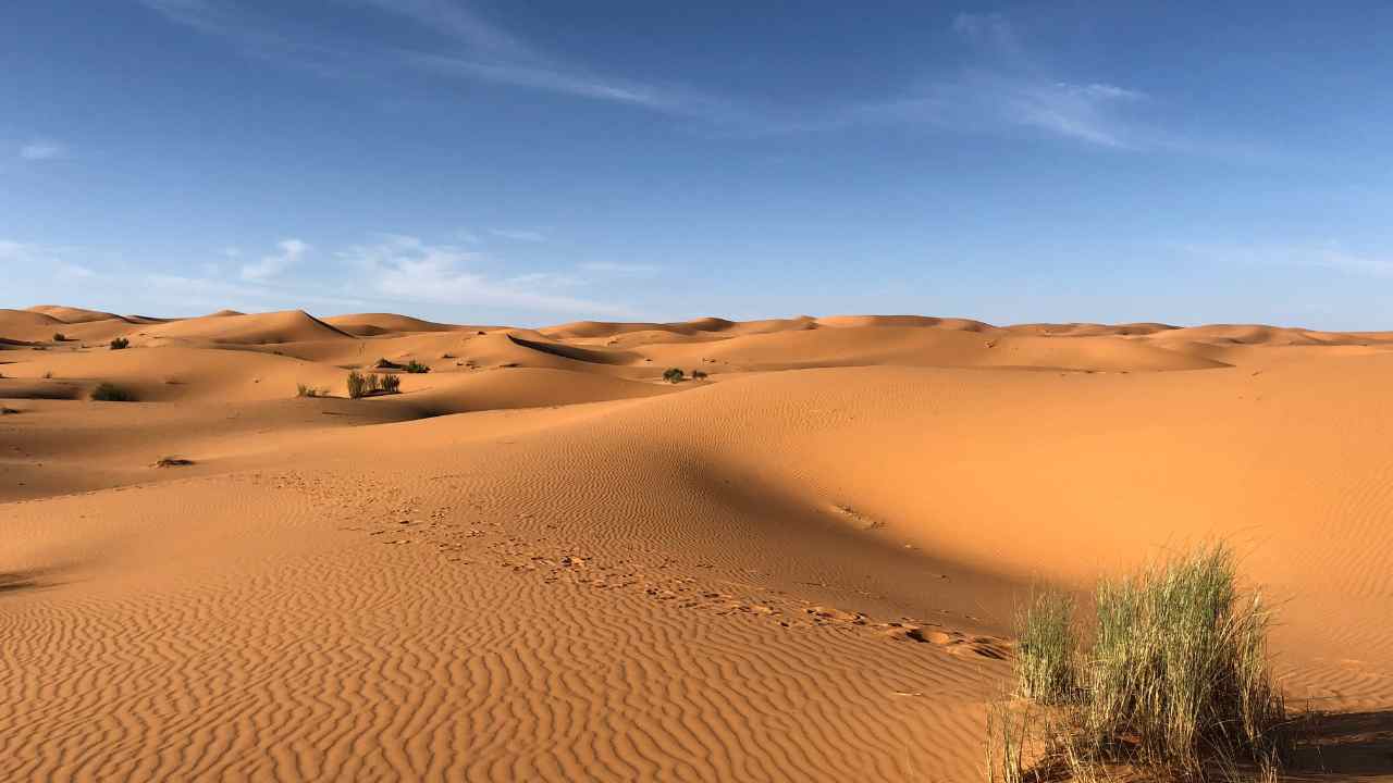 donne ruolo lotta desertificazione