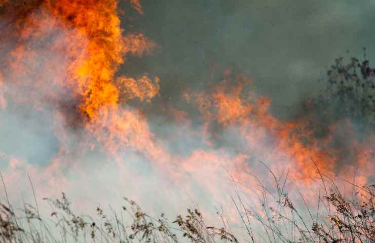 Analisi clima estate incendi caldo