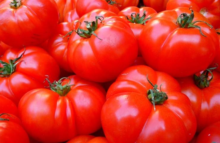 Pomodori, la verità che in pochi sanno