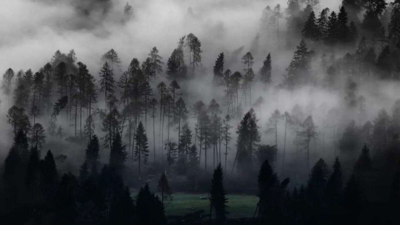 Tempesta Vaia In Italia Dell'Ottobre-Novembre 2018