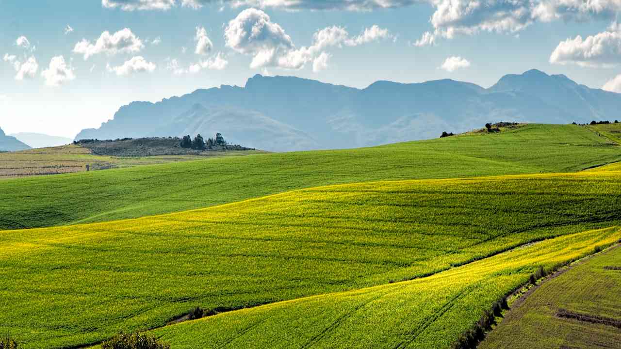 Terreni Agricoli E IMU: Chi è Esente