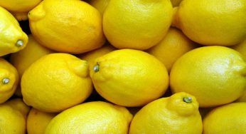 Limone, fai nascere una pianta in 60 secondi: l’occorrente è in cucina