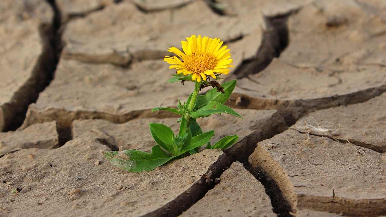 Una compressa di idrogel rende potabile l'acqua di fiume in un'ora