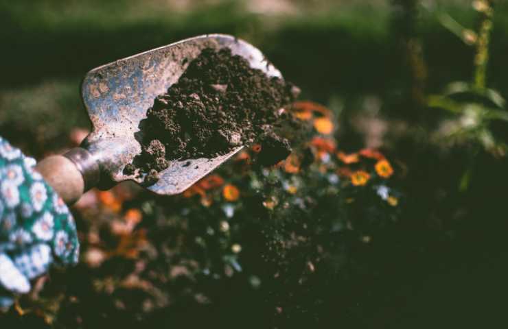 Giardiniere, se lo vuoi diventare non fare questo